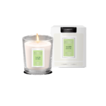 AREON MOON LINE kvapioji žvakė WHITE SANTAL, 1vnt